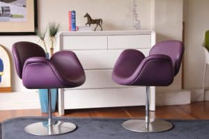 Purple Little Tulip Pierre Paulin