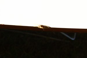 House of Pac - Elliptical table ETR Eames Vitra White