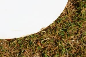 House of Pac - Elliptical table ETR Eames Vitra White