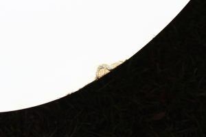 House of Pac - Elliptical table ETR Eames Vitra White