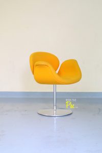 House of Pac - Little tulip yellow wool Pierre Paulin Artifort